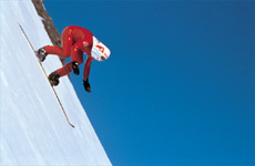 powell02.jpg (16392 bytes)